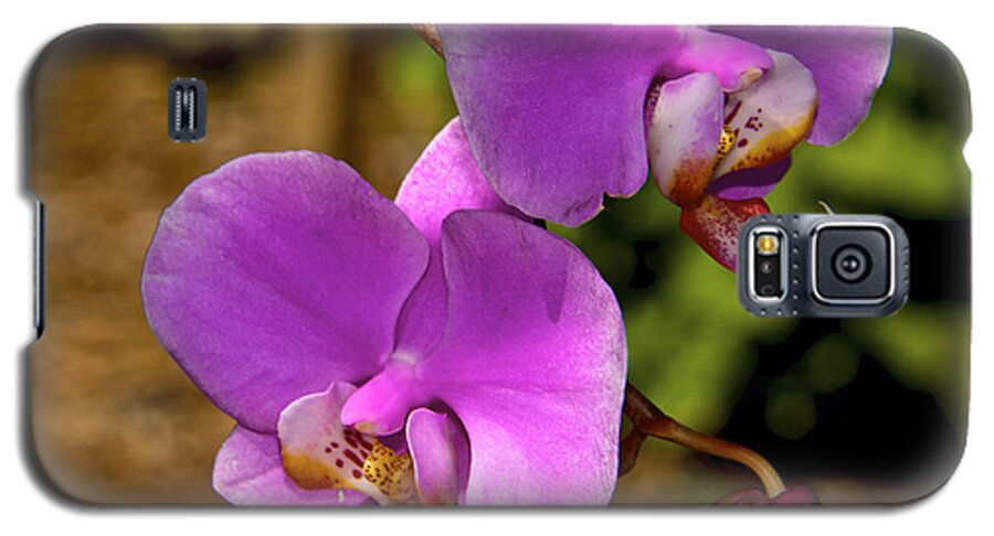  Naples Galaxy S5 Case featuring the photograph Hanging Orchids by Kathi Isserman