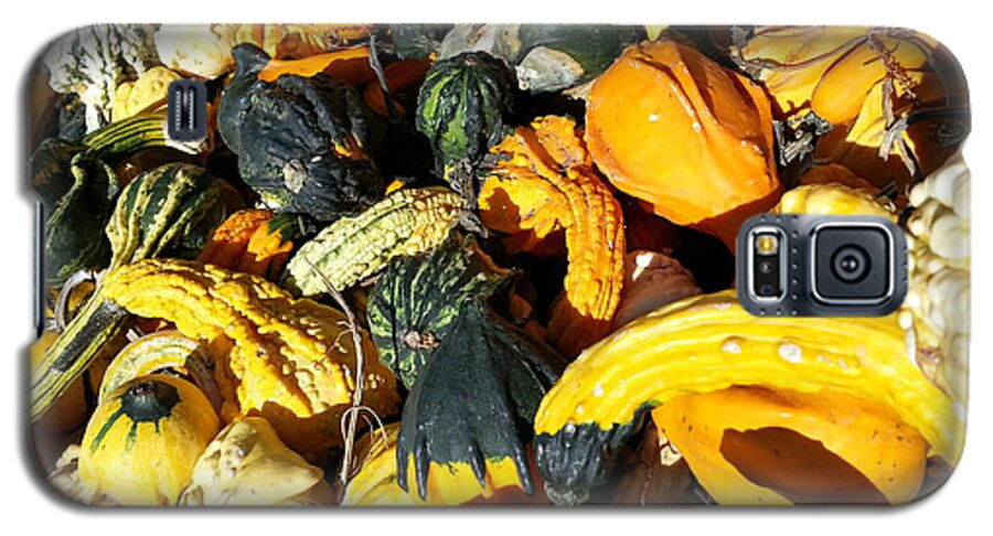 Orange Galaxy S5 Case featuring the photograph Harvest Squash by Caryl J Bohn