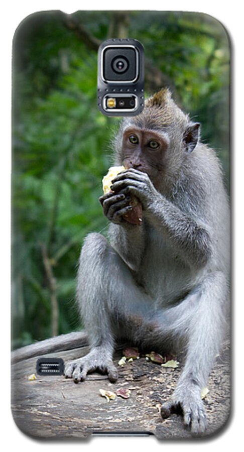 Animal Galaxy S5 Case featuring the photograph Having A Little Lunch by Christie Kowalski
