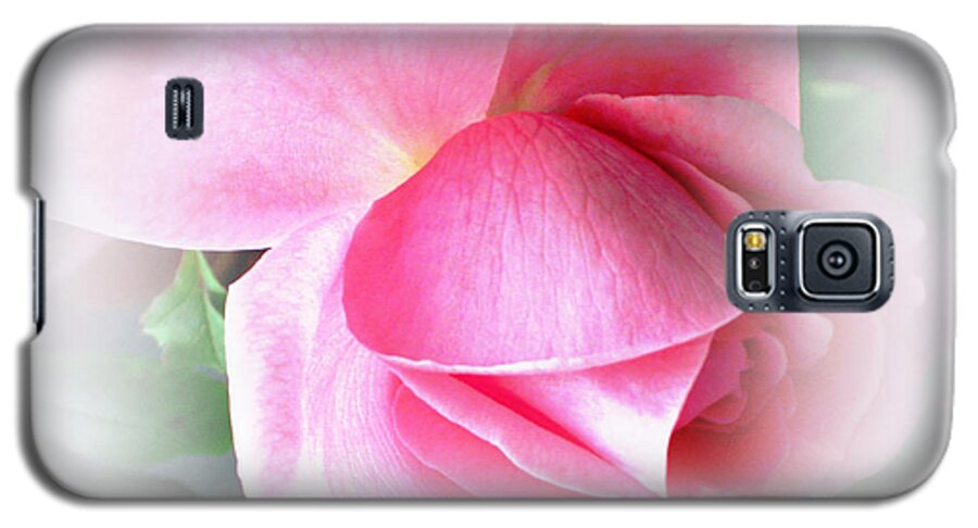 Pink Rose Galaxy S5 Case featuring the photograph Heartfelt Pink Rose by Judy Palkimas