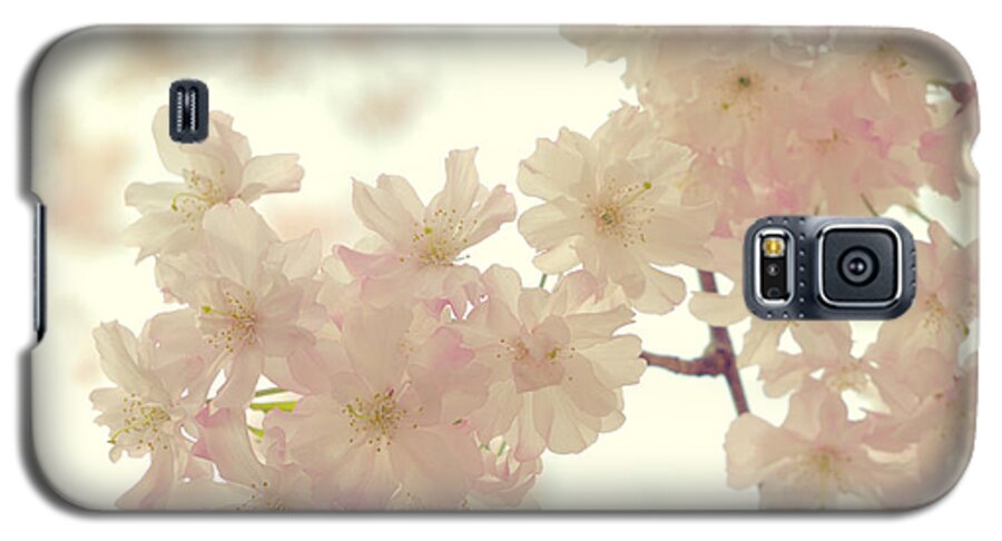 Cherry Blossoms Galaxy S5 Case featuring the photograph Heavenly... by Yuka Kato