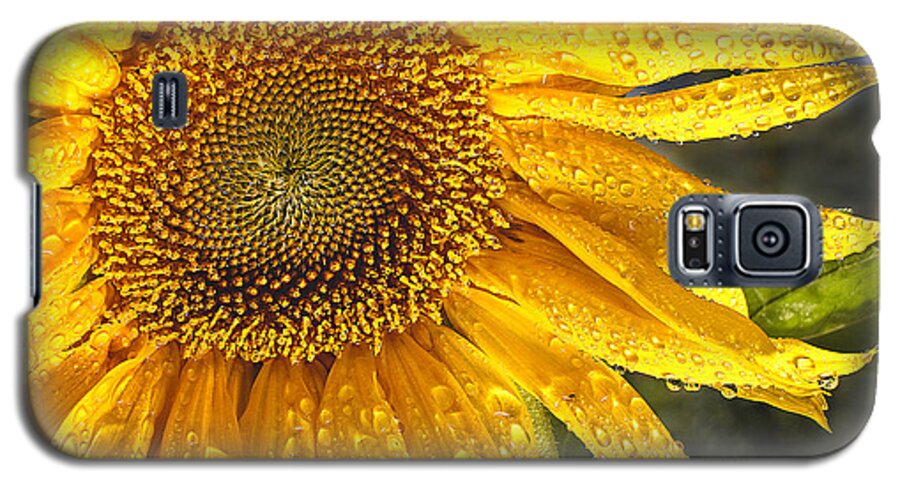 Flower Galaxy S5 Case featuring the photograph Here comes the sun by Jean Noren