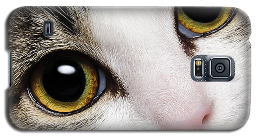 Acat Galaxy S5 Case featuring the photograph Here Kitty Kitty Close Up by Andee Design