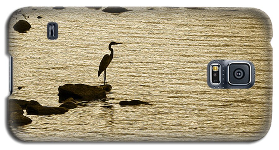 Heron Galaxy S5 Case featuring the photograph Heron by Phil Cardamone