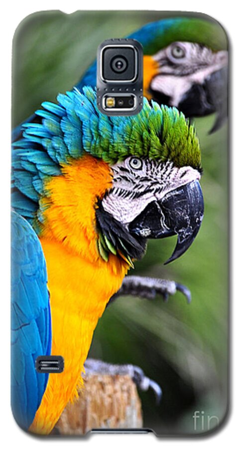 Birds Galaxy S5 Case featuring the photograph He's Always Hogging The Spotlight by Kathy Baccari