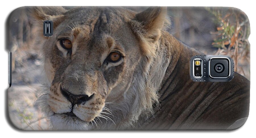 Lioness Galaxy S5 Case featuring the photograph Hi There by Allan McConnell