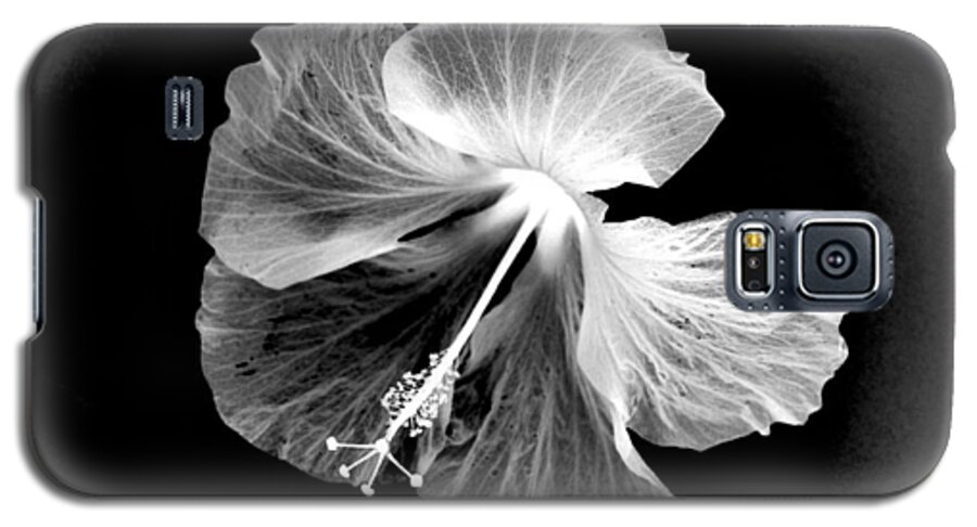Flower Galaxy S5 Case featuring the photograph Hibiscus in Black and White by Phyllis Meinke