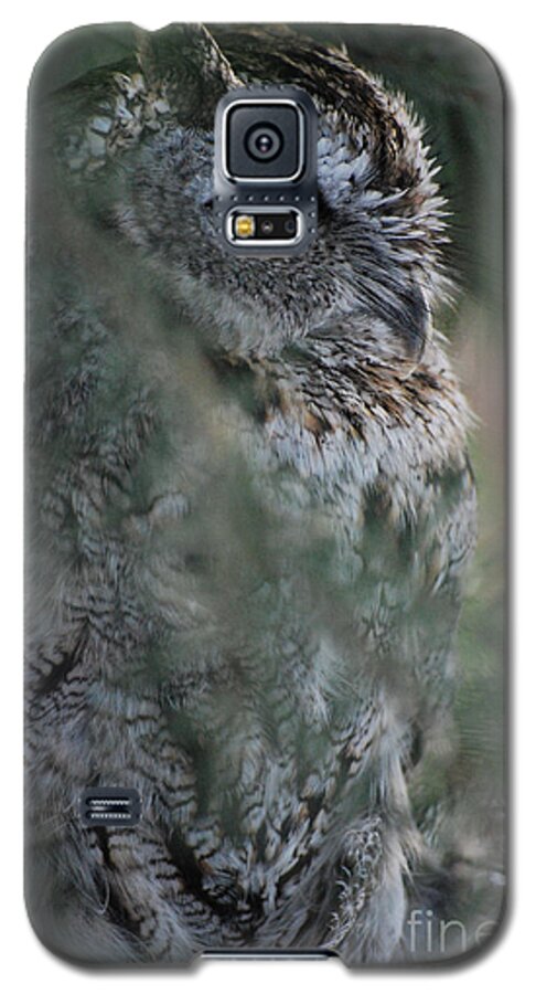 Raptor Galaxy S5 Case featuring the photograph Hidden by Sharon Elliott