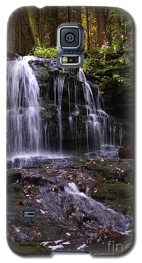 Waterfall Galaxy S5 Case featuring the photograph Hidden Waterfalls of Wayne County I by Debra Fedchin
