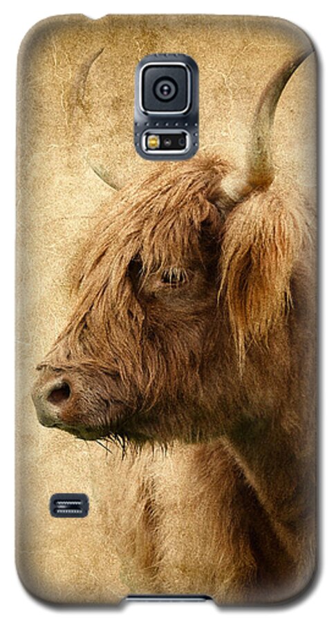 Scottish Highland Cattle Galaxy S5 Case featuring the photograph Highland Bull by Athena Mckinzie
