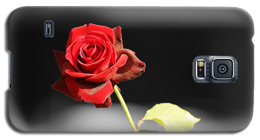 Rose Galaxy S5 Case featuring the photograph Hiroshima Rose by Cassandra Buckley