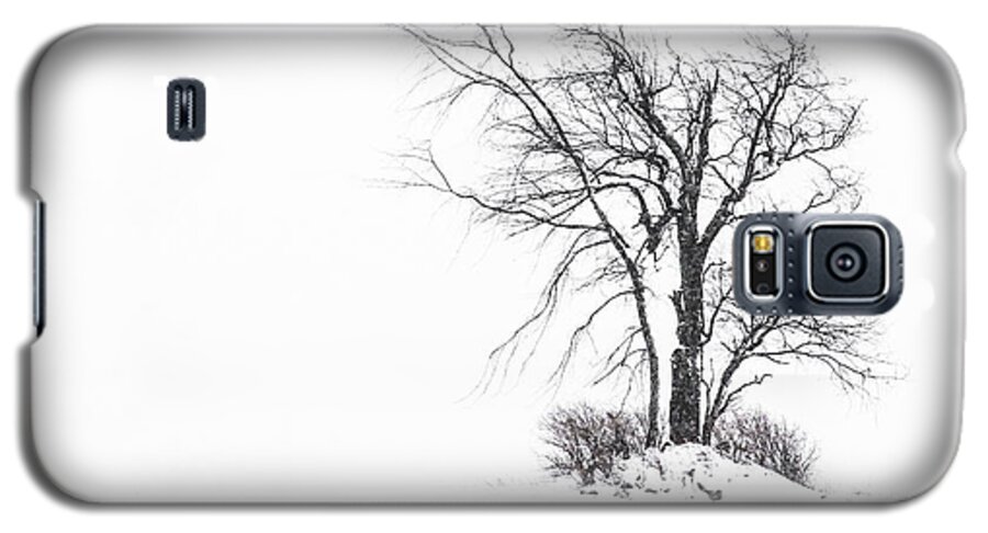 Bens House Galaxy S5 Case featuring the photograph Holland Glenwood Tree by Don Nieman