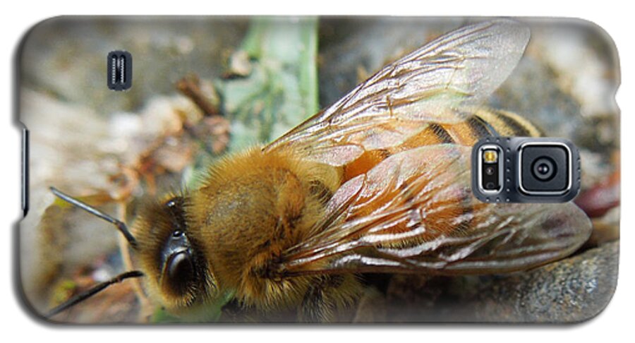 Macro Galaxy S5 Case featuring the photograph Honey Bee by Pete Trenholm
