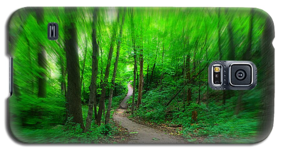 Woods Galaxy S5 Case featuring the photograph Hopkins Path by Amanda Stadther