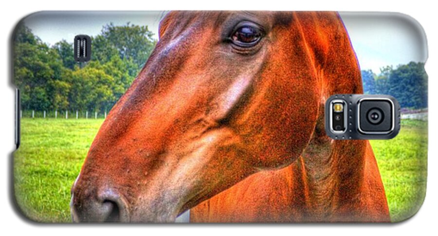 Horse Galaxy S5 Case featuring the photograph Horse Closeup by Jonny D