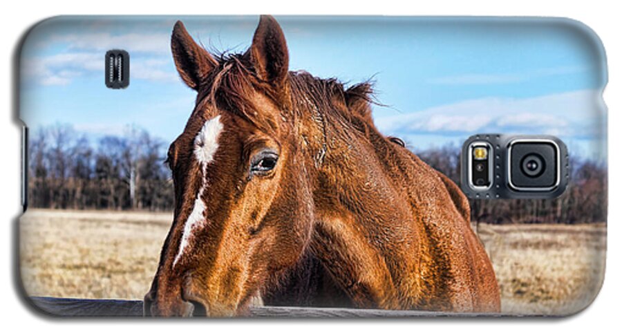 Photo Galaxy S5 Case featuring the photograph Horse Country by M Three Photos