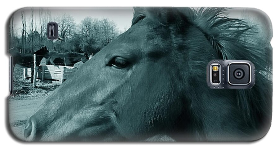Horses Galaxy S5 Case featuring the photograph Horse Sense by Steven Milner