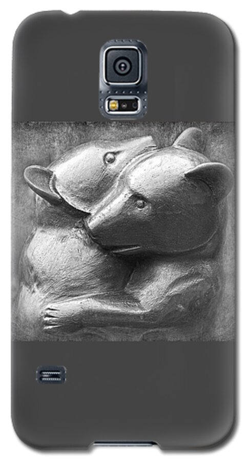 Baby Bear Photographs Galaxy S5 Case featuring the photograph Huggy Bears by David Davies