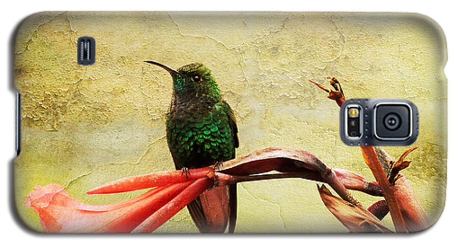 Bird Galaxy S5 Case featuring the photograph Hummingbird 1 by Teresa Zieba