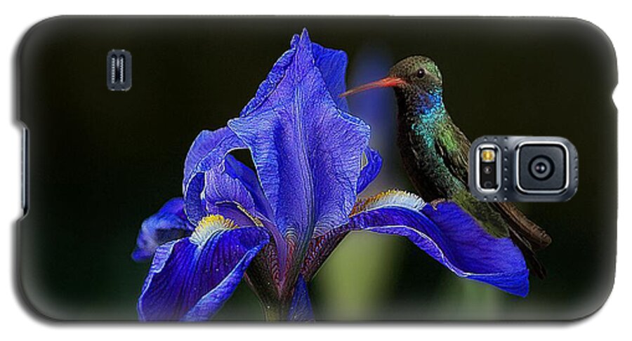 John+kolenberg Galaxy S5 Case featuring the photograph Hummingbird On A Mexican Blue Exotic Flower by John Kolenberg