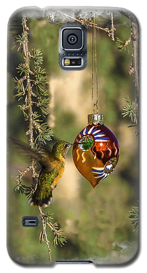 Architectural Galaxy S5 Case featuring the photograph Hummingbird Ornament by Lou Novick