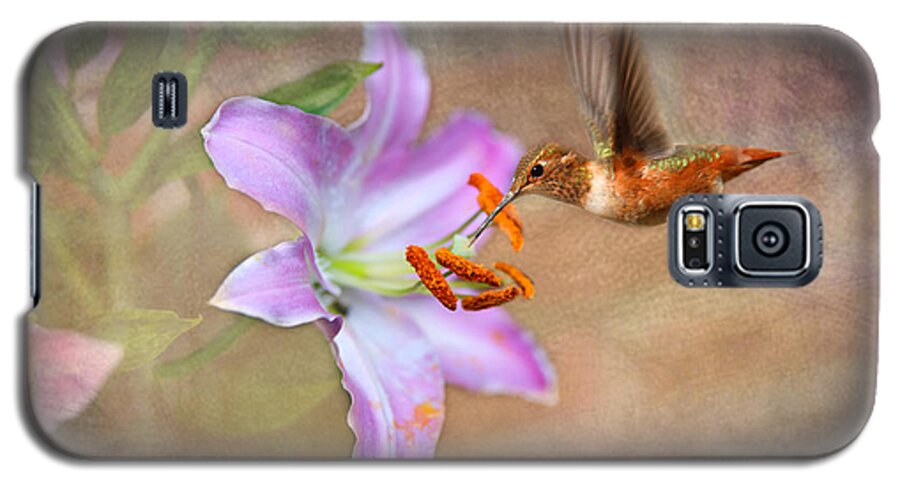 Lilly. Pink Lilly Galaxy S5 Case featuring the photograph Hummingbird Sweets by Mary Timman