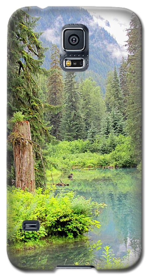 Hyder Alaska Galaxy S5 Case featuring the photograph Hyder Alaska by Lisa Dunn