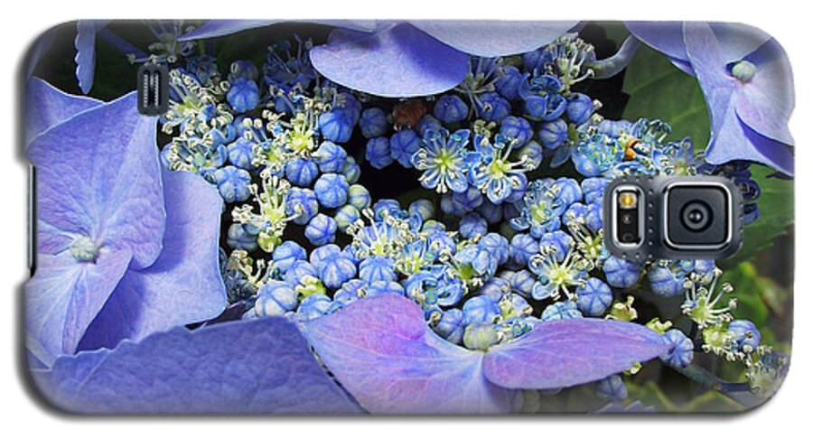 Plants Galaxy S5 Case featuring the photograph Hydrangea Blossom by Duane McCullough