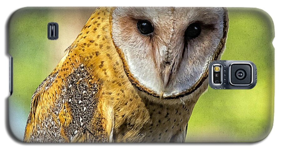 Barn Owl Galaxy S5 Case featuring the photograph I Am Wise by Constantine Gregory