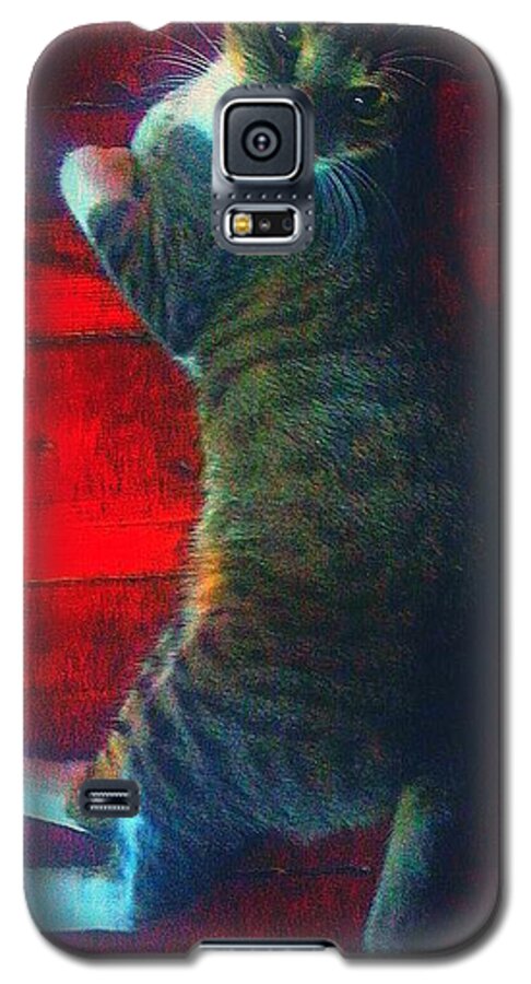 Animal Galaxy S5 Case featuring the photograph I Got My Eyes On You by Joetta Beauford
