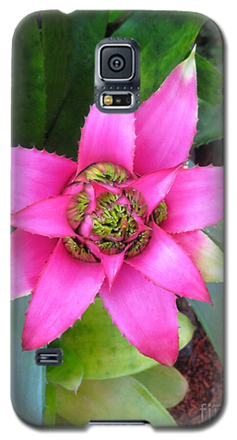 Pink And Beautiful Galaxy S5 Case featuring the photograph Pink and Beautiful by Claudia Ellis