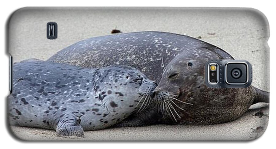 Seals Galaxy S5 Case featuring the photograph I love you mama by Nathan Rupert