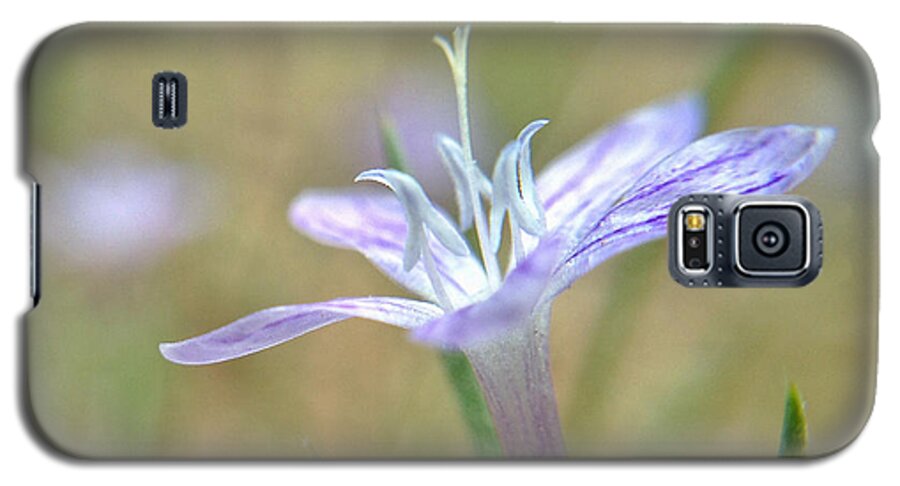 Flower Galaxy S5 Case featuring the photograph I Pick You by Kevin Bergen