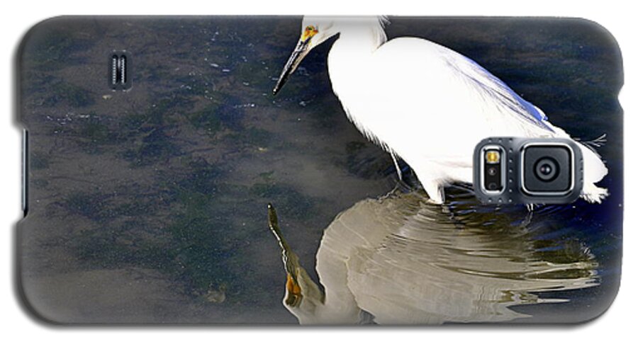 Birds Galaxy S5 Case featuring the photograph I See Me by AJ Schibig