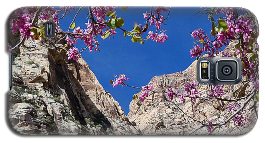 Icebox Galaxy S5 Case featuring the photograph Ice Box Canyon in April by Alan Socolik