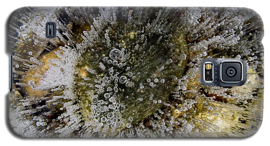 Abstract Nature Photograph Galaxy S5 Case featuring the photograph Ice bubbles by Fred Sheridan