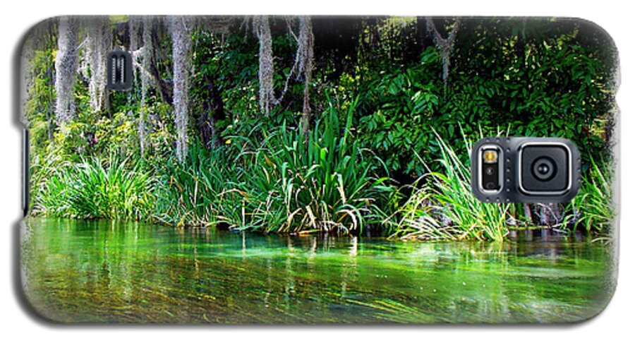 Ichetucknee Galaxy S5 Case featuring the photograph Ichetucknee Springs 1 by Sheri McLeroy