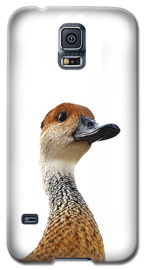 I'm Not Quacking Galaxy S5 Case featuring the photograph I'm Not Quacking by Darla Wood