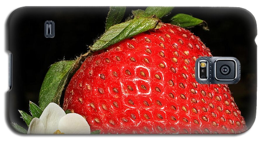 Strawberry Galaxy S5 Case featuring the photograph Imperfection Is Beautiful... by Tammy Schneider
