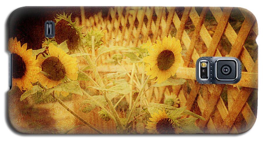 Sunflowers Galaxy S5 Case featuring the photograph Sunflowers and Lattice by Toni Hopper