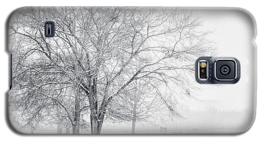 Black And White Landscape Photography Galaxy S5 Case featuring the photograph In the Cold by David Waldrop