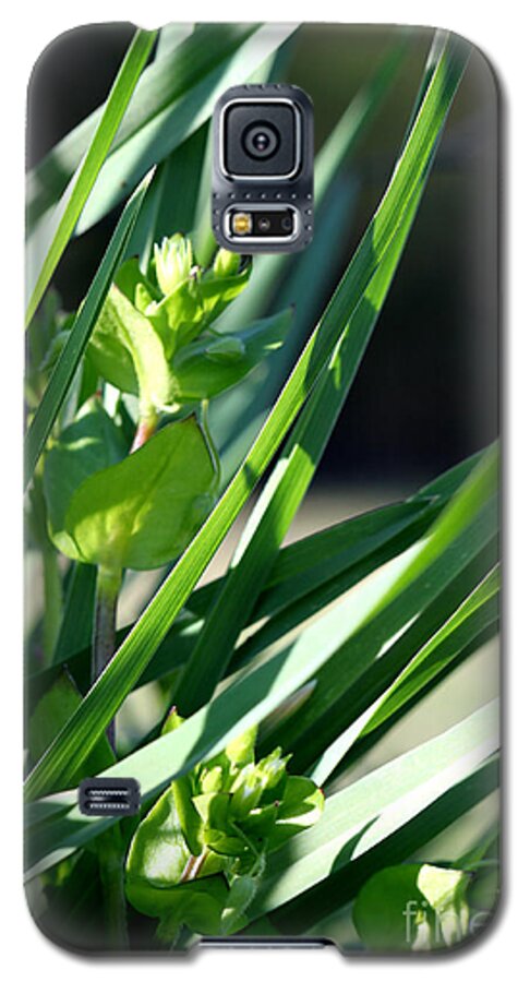 Macro Galaxy S5 Case featuring the photograph In The Grass by Todd Blanchard