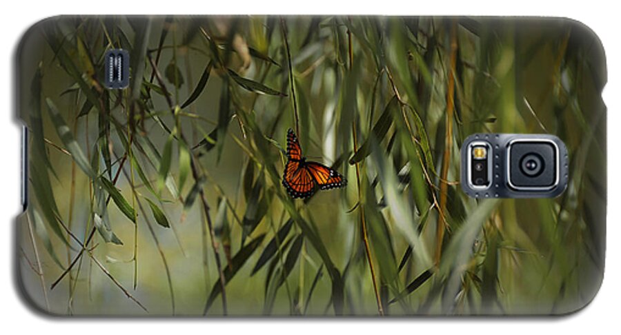 Nature Galaxy S5 Case featuring the photograph in the memory of Papillon by Mario Celzner