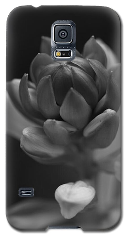 Flower Galaxy S5 Case featuring the photograph In Time by Paul Watkins