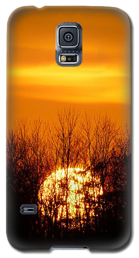 Bill Pevlor Galaxy S5 Case featuring the photograph Inferno In the Trees by Bill Pevlor