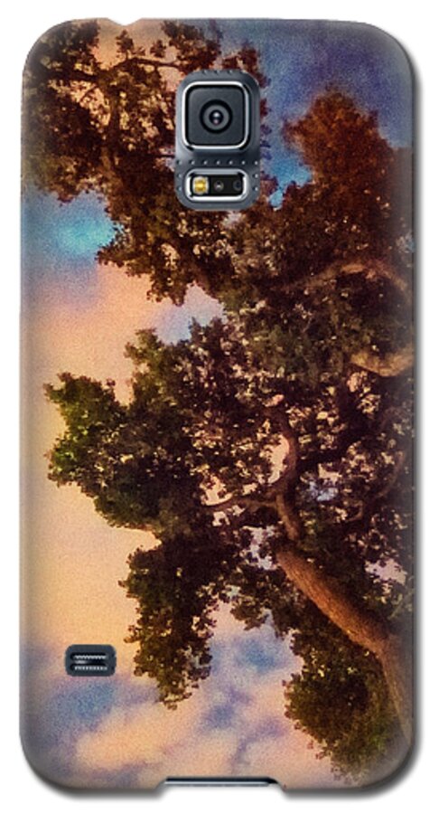 Landscapes Galaxy S5 Case featuring the photograph Inspired by Maxfield Parrish by Mary Lee Dereske