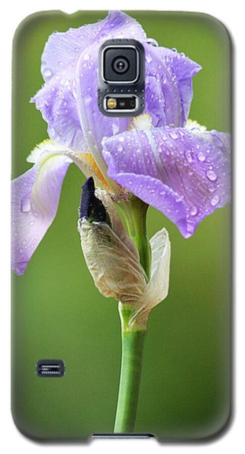 Iris Galaxy S5 Case featuring the photograph Iris After the Rain by Trina Ansel