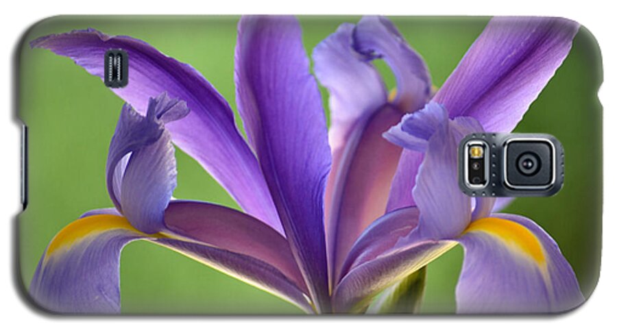 Japanese Iris Galaxy S5 Case featuring the photograph Iris Elegance by Deb Halloran