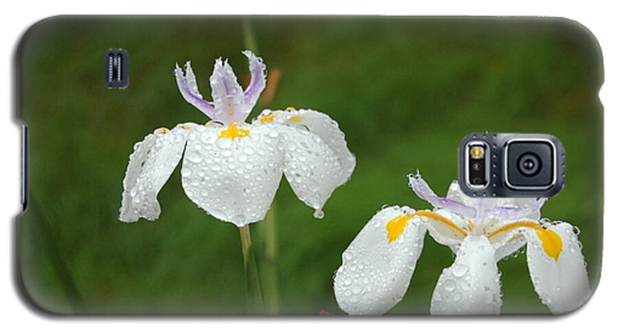 Linda Brody Galaxy S5 Case featuring the photograph Irises In the Rain by Linda Brody