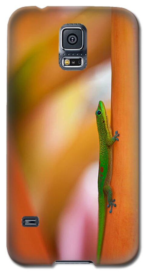 Gecko Galaxy S5 Case featuring the photograph Island Friend by Mike Reid